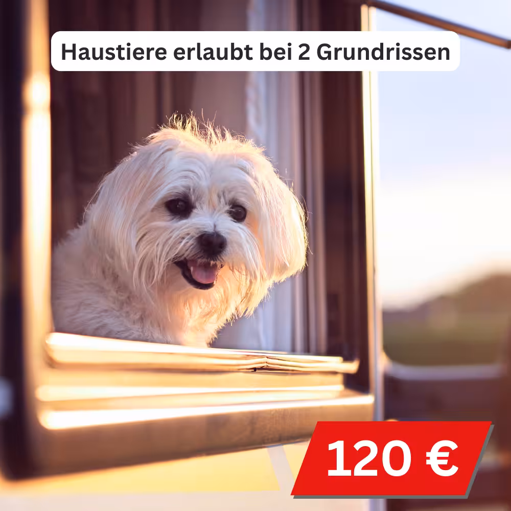 Wohnmobile, Wohnwagen & CamperVans mieten und kaufen bei topcenter in Ellzee