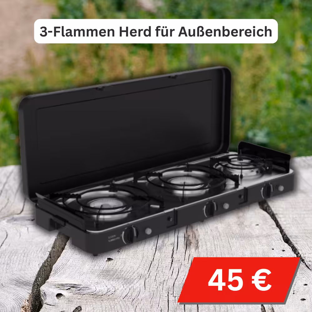 Wohnmobile, Wohnwagen & CamperVans mieten und kaufen bei topcenter in Ellzee